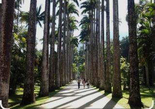 Aconchego e Requinte na Zona Sul da Cidade Maravilhosa - Rio de Janeiro - 7