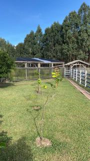 Fazenda Querência - São Francisco de Paula - 7
