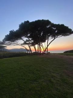 Appartamento Venturina Terme - Venturina Terme - 0