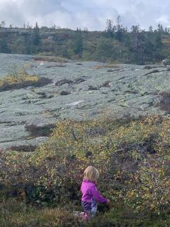 Gvelvåsen Panorama, Blefjell, family cabin with view and nature - 1