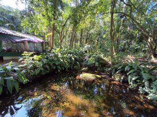 Casa com piscina natural com jacuzzi e área de lazer - Caraguatatuba - 8