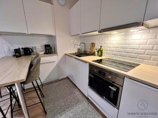 Le coeur Liégeois - Hypercentre quartier piéton - Liège - 1