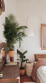 Casa Nour-Mas Ale, - Castellón de la Plana - 2