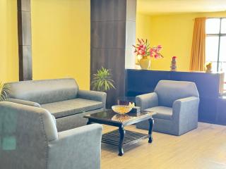 Tara Palace Resort and SPA at MG MARG GANGTOK - Gangtok - 9