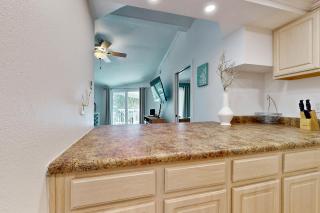 Sand Dollar E201 - 1