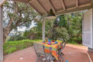 Casa Vignola - Capoliveri - 7