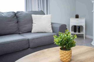 Warm & Welcoming Home with King beds near Everything - - 4