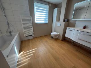 Appartement attique - Dietwiller - 3