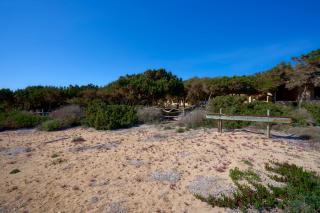 Meridium Formentera by Tentol Hotels - Playa Migjorn - 4