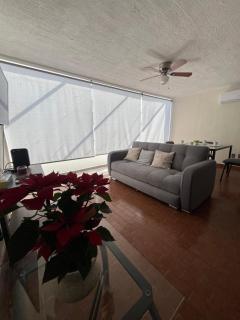 Morelos 67 Apartment - La Piedad Cavadas - 9
