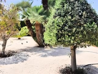 Villa Pelagia Paradise in Cap St George - - 6