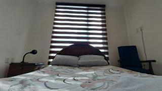 The Gilded Nest - La Paz - 2