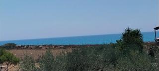 Villa Rosy - Butera - 6