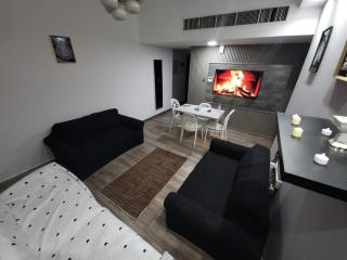 Beachfront 2BHK with Sea View - Ajman - 0