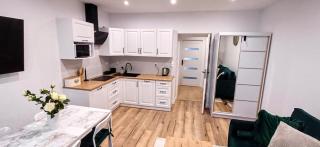 ApartamentStronieŚląskie - Stronie Śląskie - 7