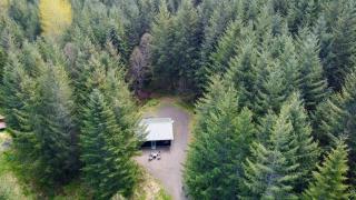 Enchanting Private Forest Retreat near Mt Rainier - Mineral - 7