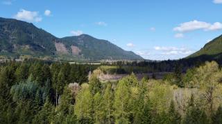 Enchanting Private Forest Retreat near Mt Rainier - Mineral - 6