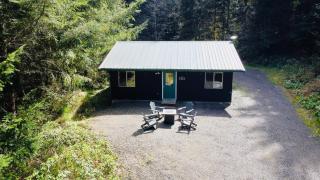 Enchanting Private Forest Retreat near Mt Rainier - Mineral - 8