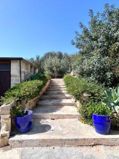 Ta Skorba Farmhouse Mgarr - Mġarr - 9