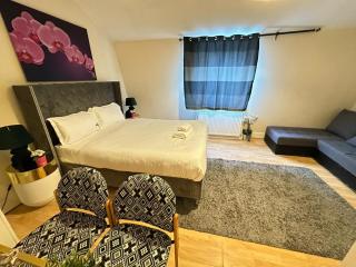 Family Studio Apartment In Central London - Londres - 0