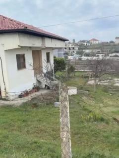 Villa mandarino - - 3