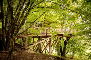 La Cabane de Bon Papa - Bertrix - 4