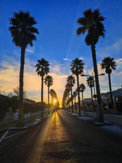 La Dolce Vita - Marseillan - 0