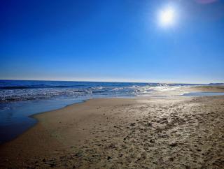 La Dolce Vita - Marseillan - 9