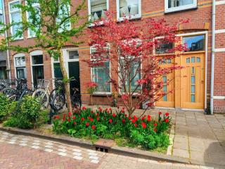 Bavo Huisje Haarlem - Haarlem - 0