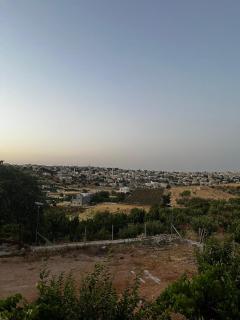 عجلون بالقرب من محميه عجلون - Ajlun - 2
