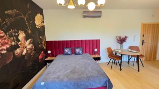 Apartament 15 "Bordowy" - Boszkowo-Letnisko - 7