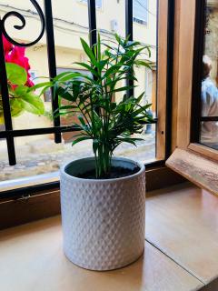 Apartamento Rural Val de Xálima - San Martín de Trevejo - 9