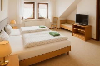 Gasthaus Bidinger - - 4