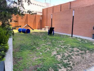 Apartamento en Guadalajara - Guadalajara - 2