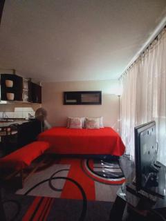 Excelente depto central con piscina locomoción a la puerta Para 3 a 4 personas - Santiago - 6