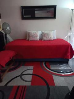 Excelente depto central con piscina locomoción a la puerta Para 3 a 4 personas - 5