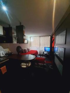 Excelente depto central con piscina locomoción a la puerta Para 3 a 4 personas - Santiago - 4