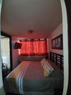 Excelente depto central con piscina locomoción a la puerta Para 3 a 4 personas - Santiago - 1