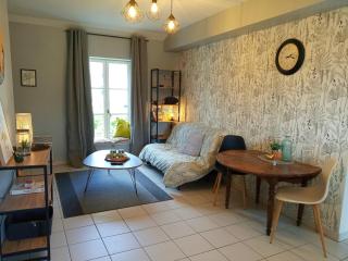 Charmant Pied à Terre a Blois pour 1 a 4 voyageurs - Blois - 0