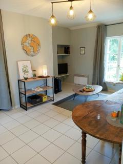 Charmant Pied à Terre a Blois pour 1 a 4 voyageurs - 6