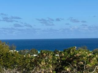 Beach Life Villa - Bridgetown - 9