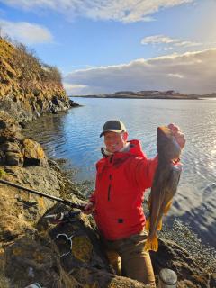 The Island House - Mariehuset - Bodø - 2