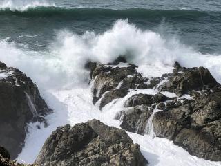 Tidesong - Jenner - 1