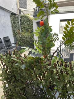 The Grey House - Lunay - 9