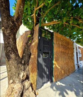 HOM Hostel Boutique - Playa del Carmen - 9