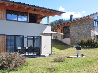 Grebenzen Eiszeit Lodge - Sankt Lambrecht - 2