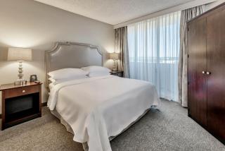 Modern Cozy Suite Pool in Central Boca Raton - Boca Raton - 8