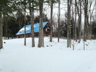 Détente au coeur de la forêt - Mansonville - 7