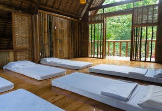 Forest Camp - Valencia - 1