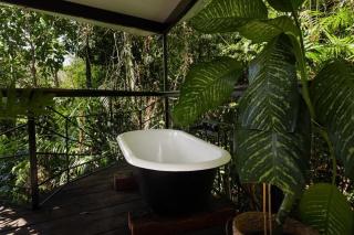 Sun Suite - tiny home treehouse - Kuranda - 7